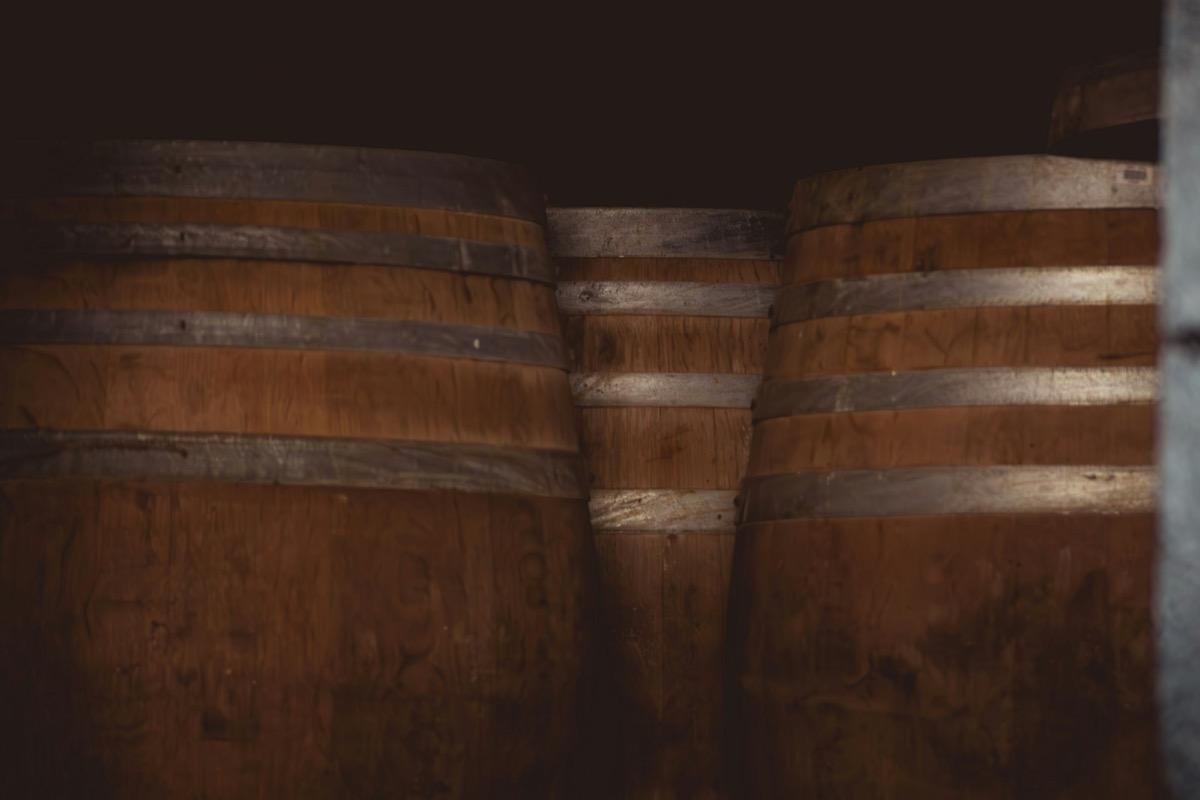 Oak casks stacked in rows inside a dim cellar, with natural light falling from a small window onto the barrel heads.